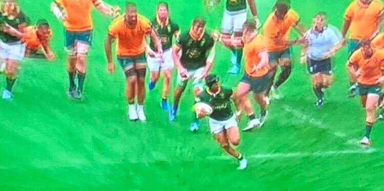 Rugby News Australia, World Champions Springboks unstoppable with their brilliant start to the 2024 Rugby Championship following a 33-7 win over the Wallabies