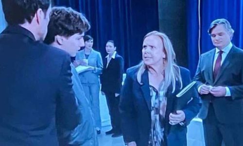 GH this week feature 1/3 of Nov. 10-14 2025 sees Mayor Collins facing her grandson Rocco in trouble after Dalton caught him sneaking him at his lab.