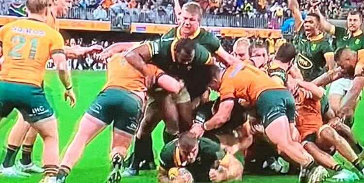 Rugby News: Springboks wrap up their Australian tour with an 2-0 clean sweep following a 18-point win over the Wallabies 2 IMG 0723 1 1
