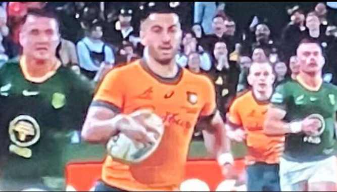 sports-Wallabies-v-Springboks